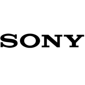 Sony Computer Virus Removal